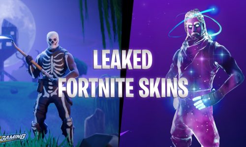 Leaked & Datamined Fortnite Skins